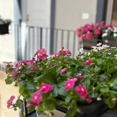 As - Concept Apartamento *