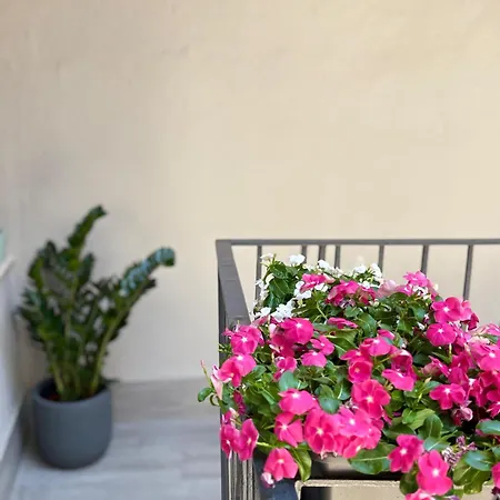 As - Concept Apartment Catania